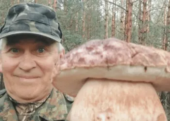 На Рівненщині знайшли боровик-велетень