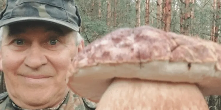 На Рівненщині знайшли боровик-велетень