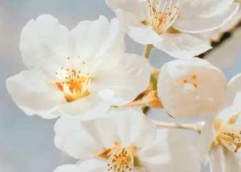 Прогноз погоди у Рівному 26-28 квітня