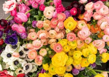 Прогноз погоди в Рівному з 29 квітня по 1 травня