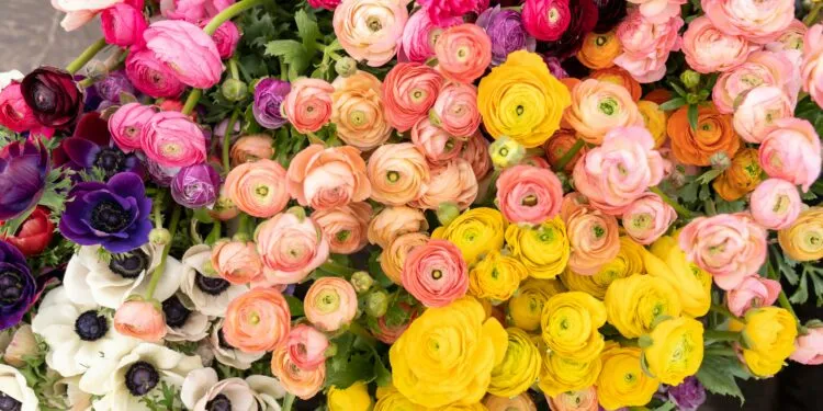 Прогноз погоди в Рівному з 29 квітня по 1 травня