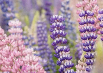 Прогноз погоди в Рівному у вихідні 18 та 19 травня