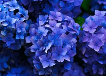 Прогноз погоди в Рівному 25 та 26 травня