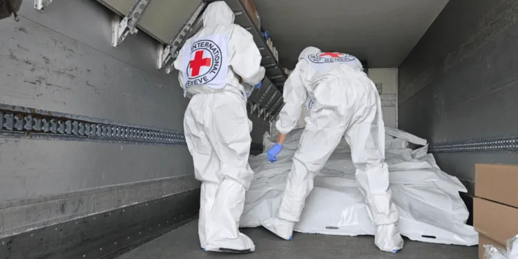 В Україну повернули тіла 254 полеглих захисників