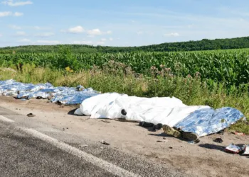 На Рівненщині сталася ДТП з 14 загиблими