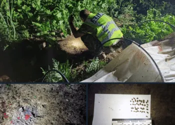 Вчора на Рівненщині від вибуху гранати загинув чоловік