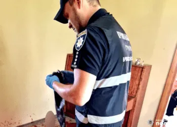 На Рівненщині розслідують вбивство 65 річної жінки