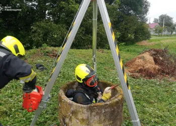 На Рівненщині рятувальники дістали з колодязя лелеку