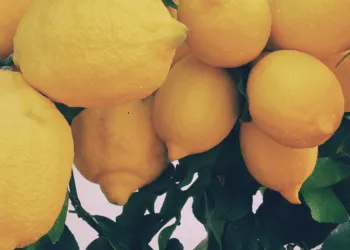 Прогноз погоди в Рівному 8 та 9 серпня