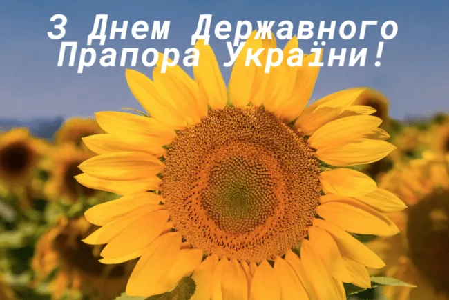 Обираємо привітання та листівки до Дня Державного прапора