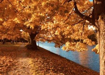 Прогноз погоди в Рівному 2-4 вересня