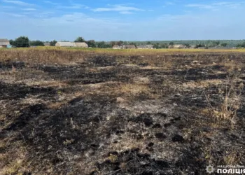 На Рівненщині у вогні загинула жінка: вона намагалася спалити сухостій