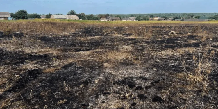 На Рівненщині у вогні загинула жінка: вона намагалася спалити сухостій