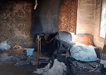 На Рівненщині в пожежі загинула літня жінка