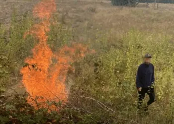 На Рівненщині затримали палія сміття