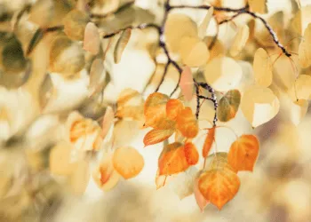 Прогноз погоди в Рівному 19-20 вересня