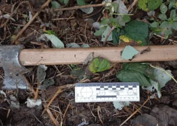 Вчора на Рівненщині син зарубав матір сокирою