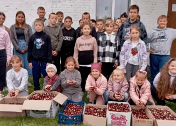 На Рівненщині збирали каштани для допомоги ЗСУ