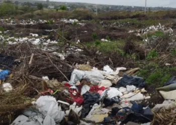 На Рівненщині в одній з громад екологи виявили незаконне сміттєзвалище