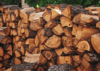 У Зеленського прокоментували скандальний "закон про дрова": президент його не підпише