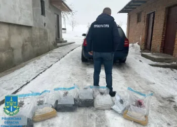 На Рівненщині поліція викрила депутата, який організував злочинне угруповування