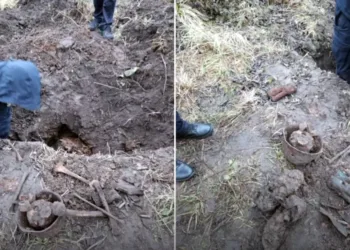 Житель Рівненщини знайшов на своїй ділянці людські рештки та боєприпаси