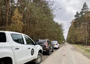 Факт незаконної вирубки лісу виявлено на Рівненщині