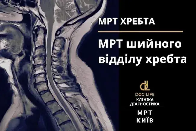 Як працює ЕНМГ?
