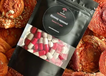 Яку користь організму принесе прийняття мікродоз мухомора й чому варто мухомор купити