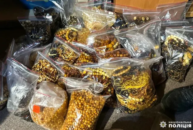 Великий рейд на Рівненщині: поліція вилучила зброю, наркотики та пів тонни бурштину