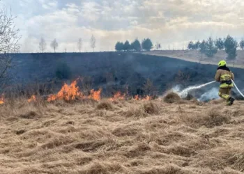 Рівненщина встановлює сумний рекорд за кількістю пожеж
