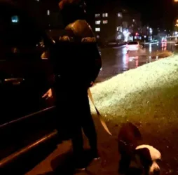 1 квітневі жарти: в Дубно чоловік погрожував нацькувати свого пса на жінку