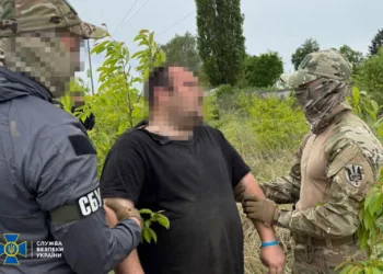 На Рівненщині затримано ворожого агента, який готував атаку на ЛЕП Рівненської АЕС за допомогою GPS-маячка