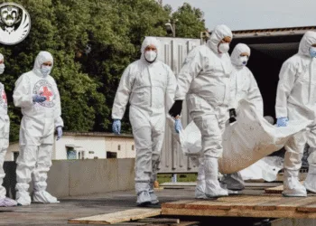 В Україну повернули ще 1200 тіл загиблих — триває репатріація