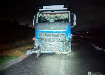 У Рівненському районі водій Renault потрапив у ДТП через косулю: чоловік у реанімації