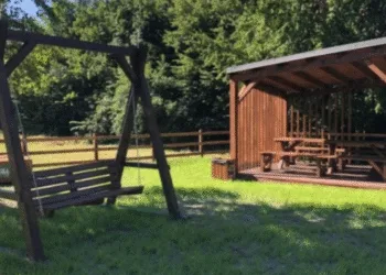 На Рівненщині облаштують нові зони відпочинку в лісах