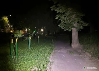 Нічне жахіття в суботу у центрі Рівного: чоловік душив жінку і вкрав її сумку