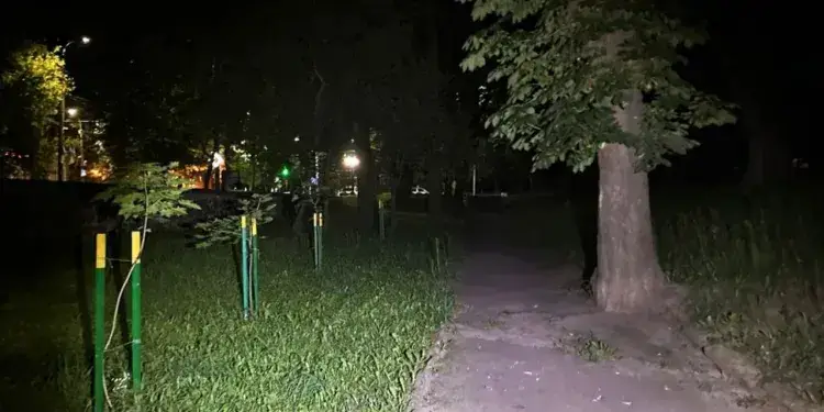 Нічне жахіття в суботу у центрі Рівного: чоловік душив жінку і вкрав її сумку