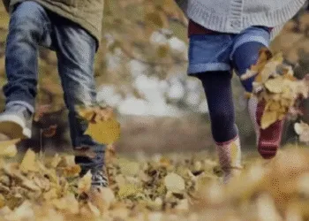 Дати канікул в Рівному: орієнтовний графік 2025–2026 навчального року