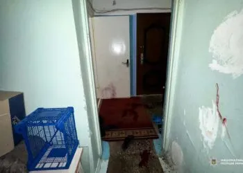 На Рівненщині судитимуть жінку, яка після п'янки зарізала співпляшника