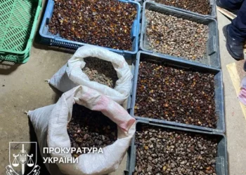На Рівненщині викрили нелегальний сімейний бурштиновий бізнес: вилучили каміння на мільйони