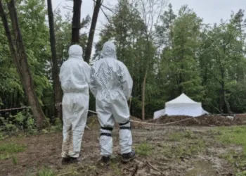 Польща розпочне пошуки жертв Волинської трагедії в Углах на Рівненщині