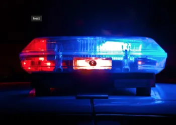 У Рівному нетверезий водій утікав від патрульних і врізався в дерево