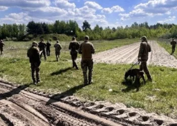 На Рівненщині вже 14 днів шукають 15-річного Романа Кирилюка: до операції залучили сотні людей