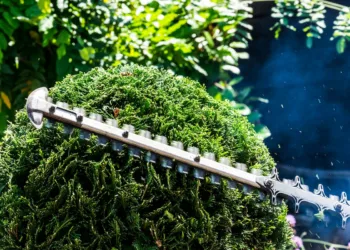 Искусство ландшафтного дизайна: как выбрать надежный кусторез аккумуляторный для ухода за садом