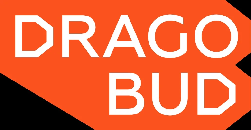 DragoBud — забудовник, який контролює кожен етап DragoBud — забудовник, який контролює кожен етап