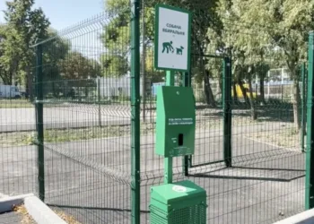Вигул собак за 4 млн грн: у Рівному облаштують спецмайданчик для собак