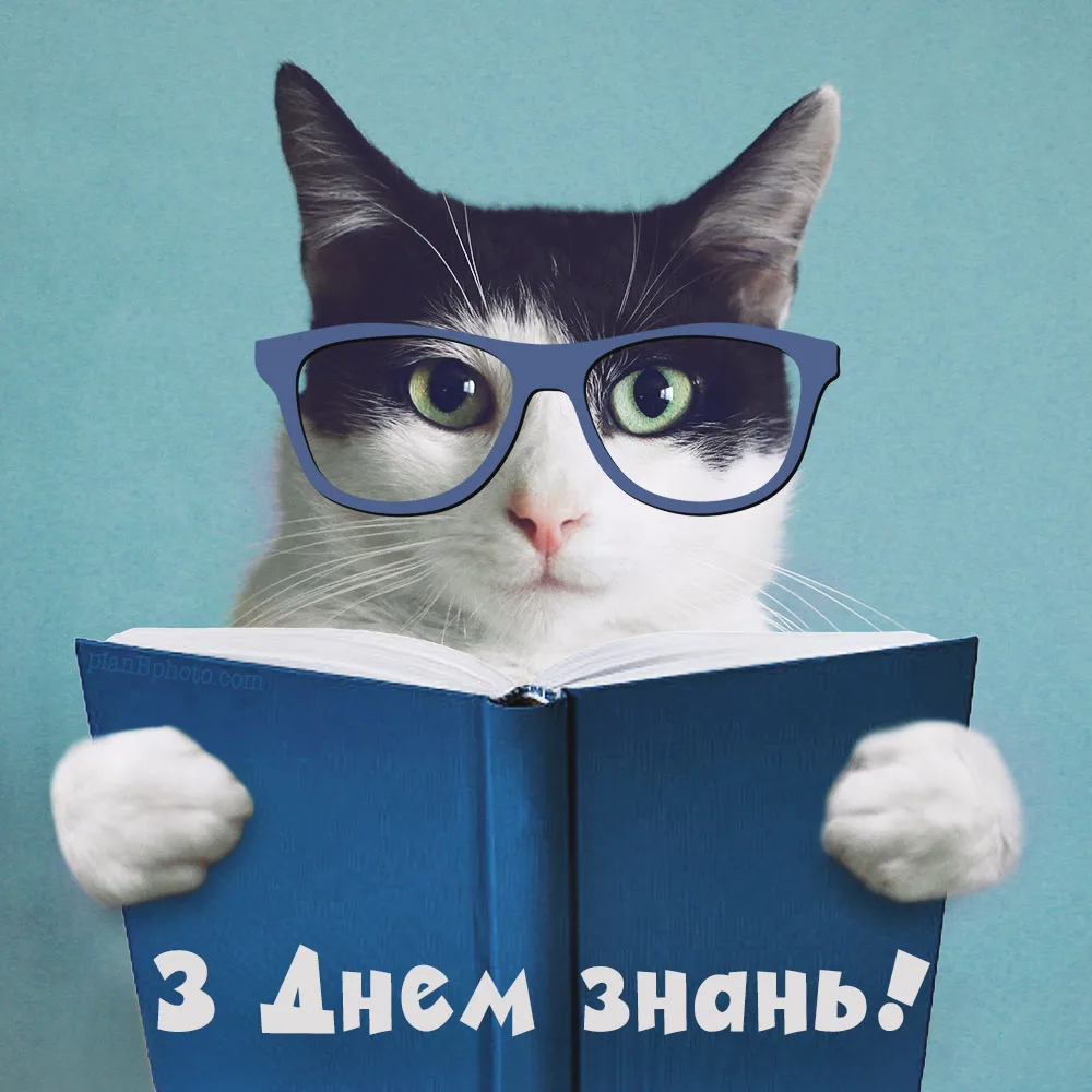 Привітання з 1 вересня 2026: нехай зошити будуть чистими, думки — світлими, а шкільні будні — веселими