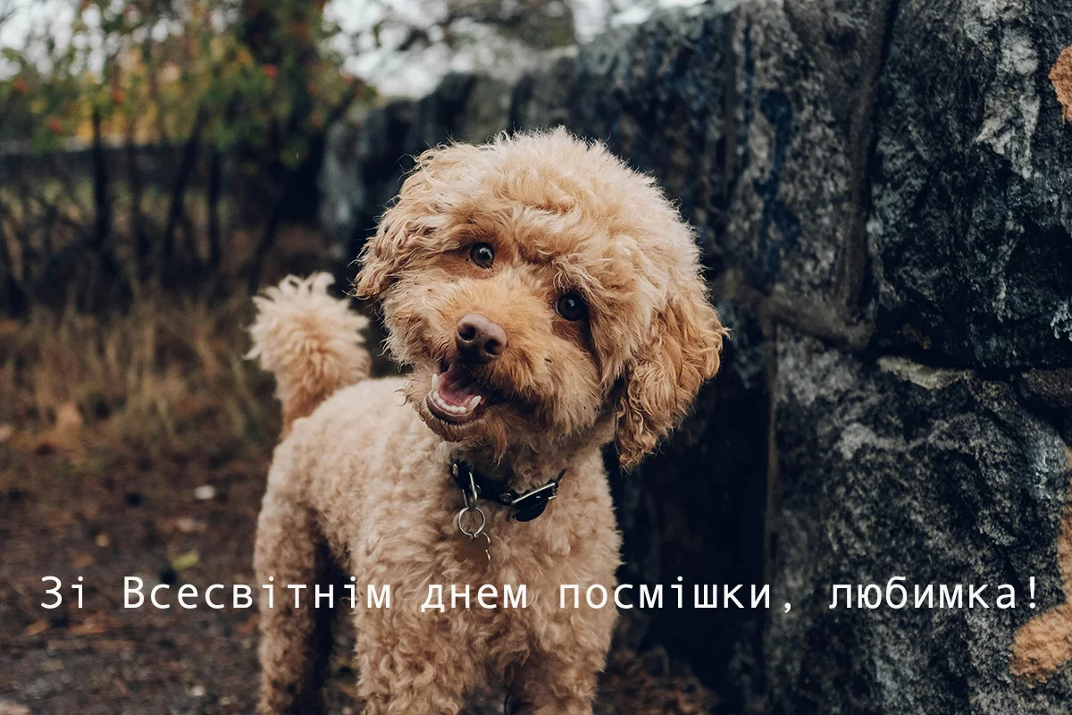 Усміхніться просто зараз: щирі та веселі привітання з Всесвітнім днем усмішки 2026